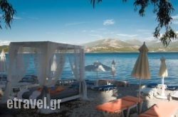 Mavra Studios hollidays