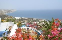 Mirtopolis hollidays