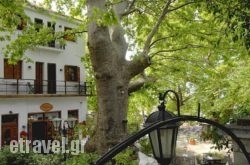 Gastronomy Hotel Kritsa hollidays Gastronomy Hotel Kritsa hollidays