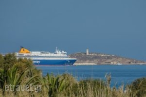 Paravatos Studios 2_lowest prices_in_Hotel_Cyclades Islands_Paros_Paros Rest Areas