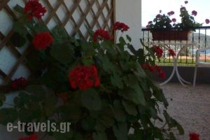 El Capitan_lowest prices_in_Hotel_Macedonia_Halkidiki_Toroni