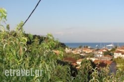 Harry's Studios hollidays