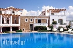 Porto Naxos hollidays Porto Naxos hollidays