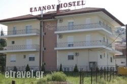 Elanthi Hostel hollidays Elanthi Hostel hollidays