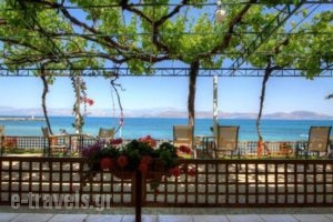 Pension Zephyros_accommodation_in_Hotel_Peloponesse_Arcadia_Astros