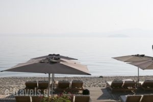 Adriana Studios_lowest prices_in_Hotel_Macedonia_Halkidiki_Haniotis - Chaniotis