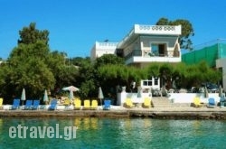 Polydoros hollidays Polydoros hollidays