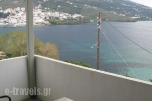 Nora Norita_holidays_in_Hotel_Cyclades Islands_Andros_Andros City