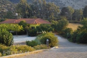 Countryside Studios_travel_packages_in_Ionian Islands_Kefalonia_Kefalonia'st Areas