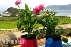 Kimolia Gi hollidays Kimolia Gi hollidays