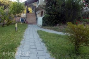Nikos Apartments_accommodation_in_Apartment_Macedonia_Halkidiki_Chalkidiki Area