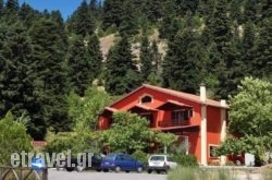 Hani Mpagasaki hollidays Hani Mpagasaki hollidays