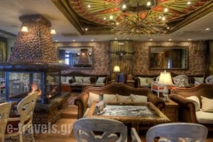 Aroma Dryos Eco & Design Hotel_best prices_in_Hotel_Epirus_Ioannina_Metsovo