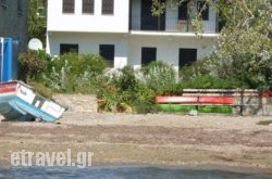 Zmas Studio hollidays Zmas Studio hollidays