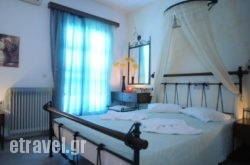 Studio Irene hollidays