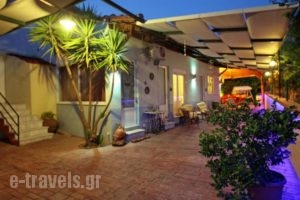 Andriotis Studios_best prices_in_Hotel_Aegean Islands_Lesvos_Plomari