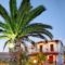 Andriotis Studios_accommodation_in_Hotel_Aegean Islands_Lesvos_Plomari