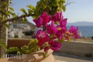 Pantonia Apartments_best prices_in_Apartment_Piraeus islands - Trizonia_Kithira_Kithira Chora