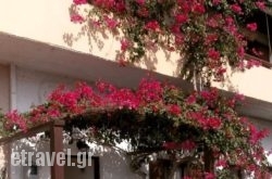 Ostria Rooms hollidays