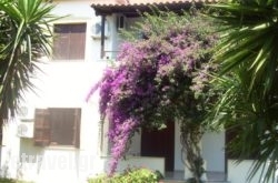 Hotel Elytis hollidays Hotel Elytis hollidays