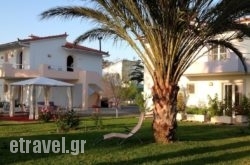 7Syn7 hollidays 7Syn7 hollidays