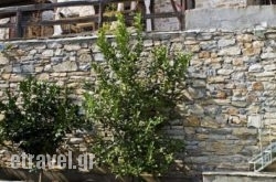 Villa Amanti hollidays Villa Amanti hollidays