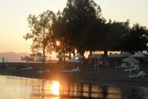 Hotel Petit Village_travel_packages_in_Central Greece_Evia_Eretria