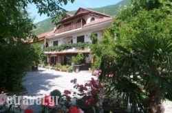 Alexandros hollidays