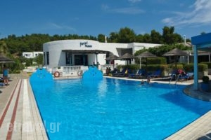 Musses_accommodation_in_Hotel_Central Greece_Evia_Artemisio