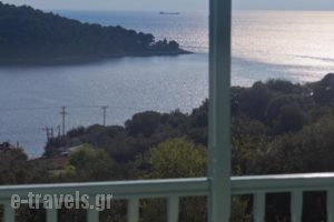 Regina Studios_holidays_in_Hotel_Sporades Islands_Skopelos_Panormos