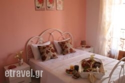 Lucia Studios hollidays