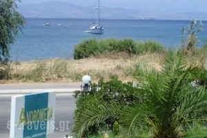 Andromeda Hotel Apartments_best prices_in_Apartment_Dodekanessos Islands_Kos_Kos Chora