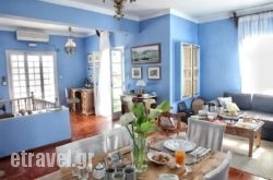 The Collector's Home hollidays