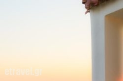 Ionian Alpha Apartments hollidays Ionian Alpha Apartments hollidays