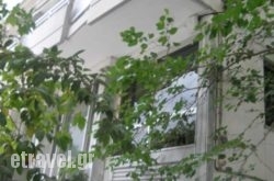 Rex Chasioti hollidays Rex Chasioti hollidays