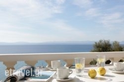 Apollon Apartments hollidays Apollon Apartments hollidays