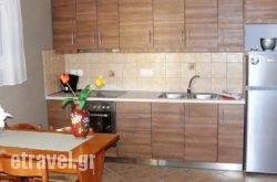 Nikos Cassiopeia hollidays