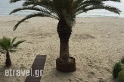 Hotel Avra hollidays Hotel Avra hollidays