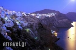 Fomithea hollidays Fomithea hollidays