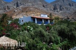 Harry'S Paradise hollidays Harry'S Paradise hollidays