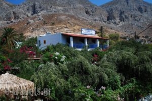 Harry'S Paradise_accommodation_in_Hotel_Dodekanessos Islands_Kalimnos_Kalimnos Chora