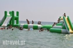 Fernando hollidays Fernando hollidays