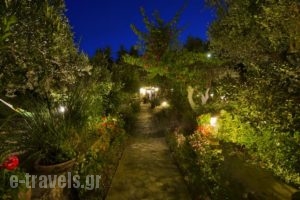 Harry'S Paradise_best prices_in_Hotel_Dodekanessos Islands_Kalimnos_Kalimnos Chora