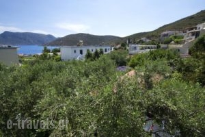 Harry'S Paradise_best deals_Hotel_Dodekanessos Islands_Kalimnos_Kalimnos Chora