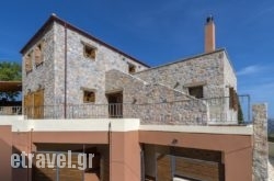 Apirathes hollidays Apirathes hollidays