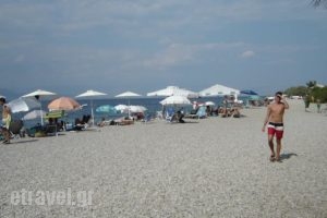 Stavento_best deals_Hotel_Peloponesse_Achaia_Trapeza