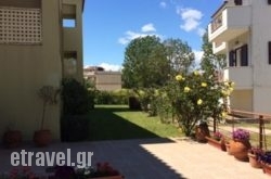 Vassilis Studios hollidays