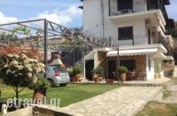 Delimaras Studios hollidays