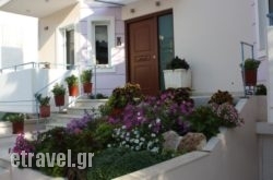 Veggie Garden Athens B&B hollidays Veggie Garden Athens B&B hollidays