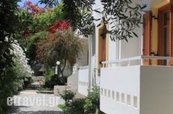 Michael Apartments hollidays Michael Apartments hollidays